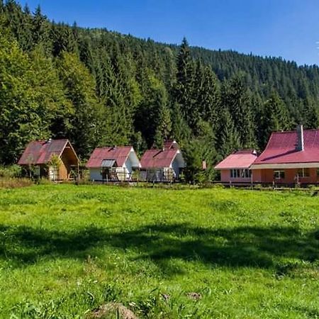 Cabana Valea Stanciului Rachitele Extérieur photo