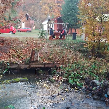 Cabana Valea Stanciului Rachitele Extérieur photo