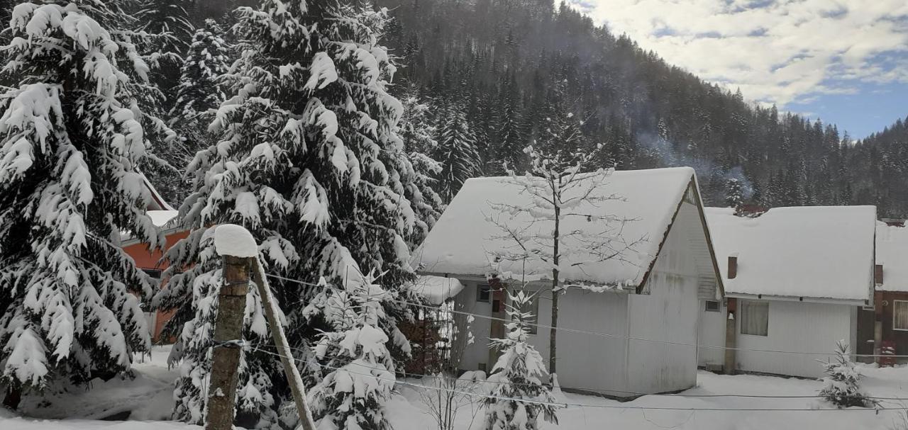 Cabana Valea Stanciului Rachitele Extérieur photo