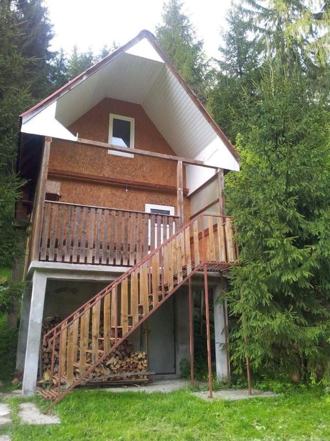 Cabana Valea Stanciului Rachitele Extérieur photo