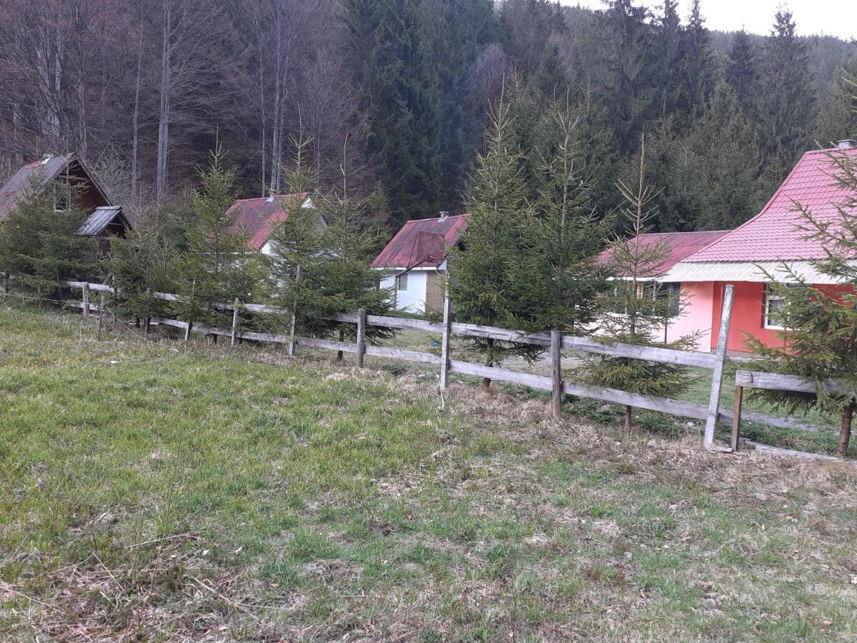 Cabana Valea Stanciului Rachitele Extérieur photo