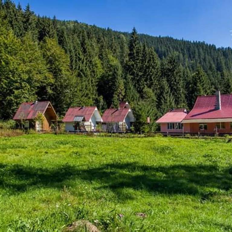 Cabana Valea Stanciului Rachitele Extérieur photo