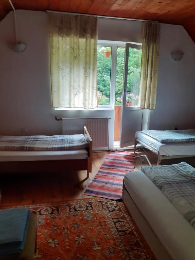 Cabana Valea Stanciului Rachitele Extérieur photo
