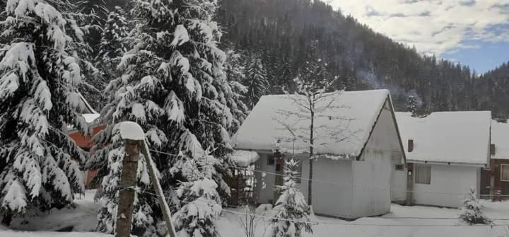 Cabana Valea Stanciului Rachitele Extérieur photo