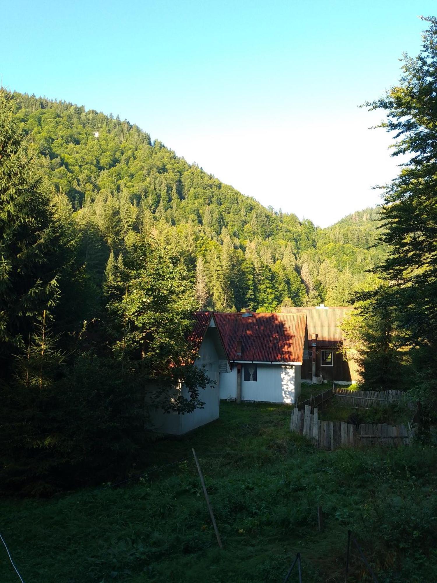 Cabana Valea Stanciului Rachitele Extérieur photo