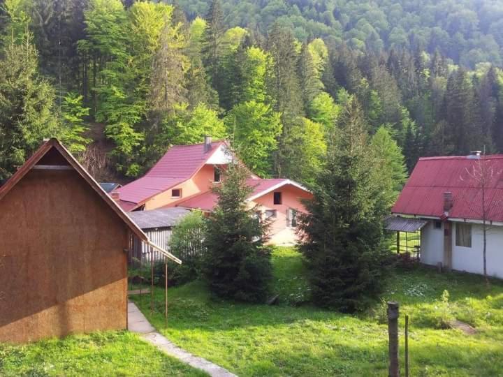 Cabana Valea Stanciului Rachitele Extérieur photo